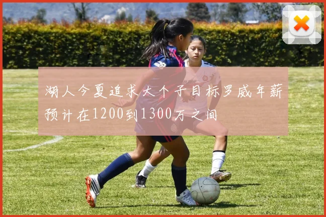 湖人今夏追求大个子目标罗威年薪预计在1200到1300万之间