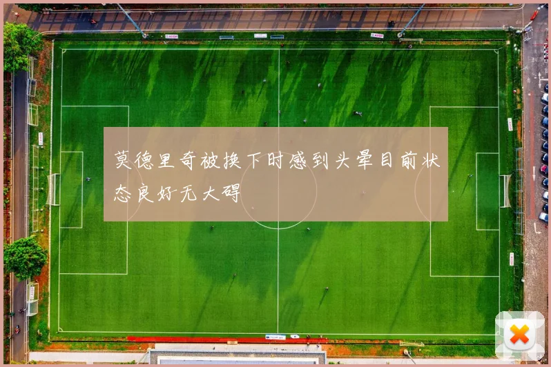 莫德里奇被换下时感到头晕目前状态良好无大碍