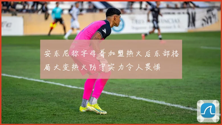 安东尼称字母哥加盟热火后东部格局大变热火防守实力令人畏惧